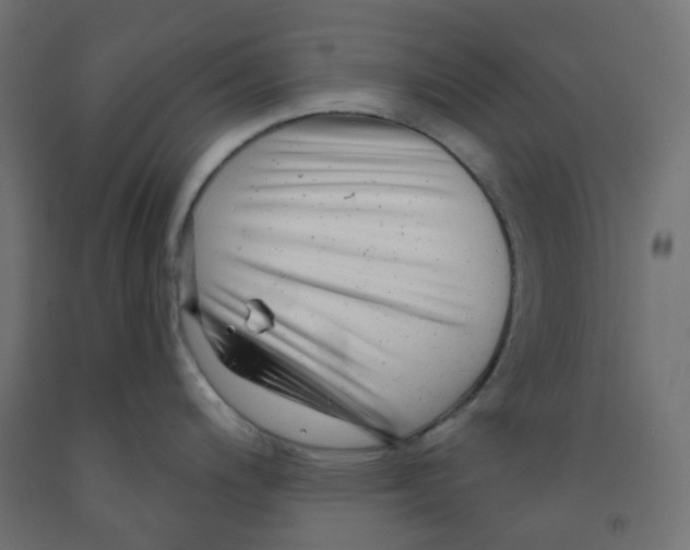 X0000091851200200710031634