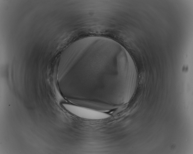 X0000091851202200710031634
