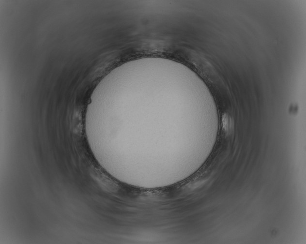 X0000091851203200710031634