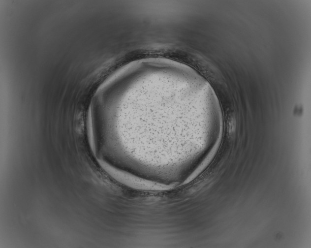 X0000091851204200710031634
