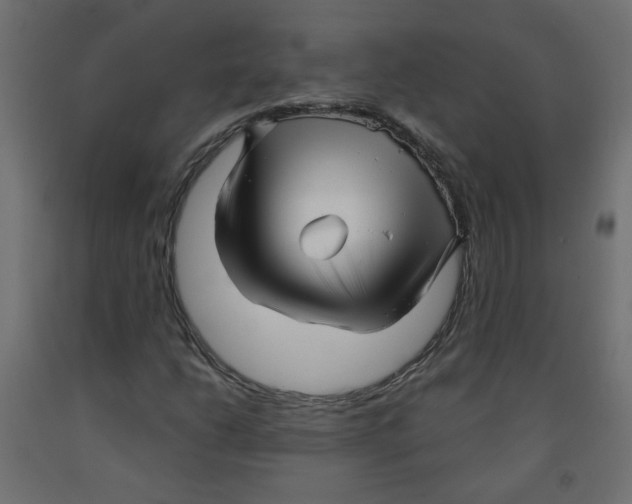 X0000091851206200710031634