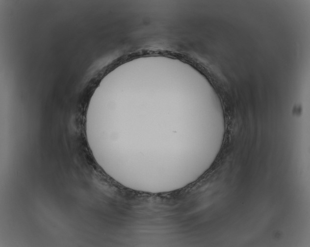 X0000091851207200710031634