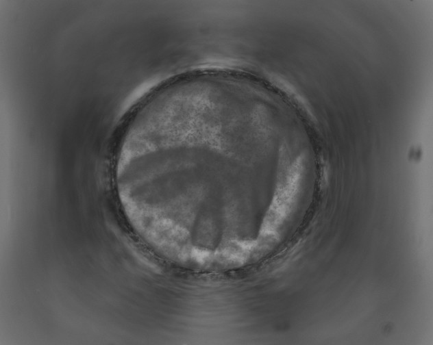 X0000091851208200710031634