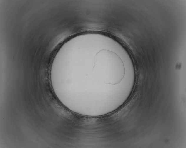 X0000091851211200710031634