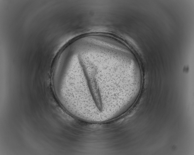 X0000091851212200710031634