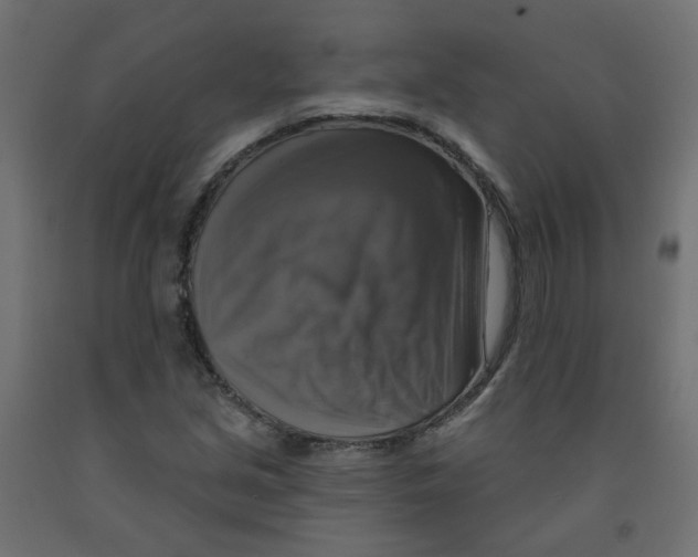 X0000091851213200710031634