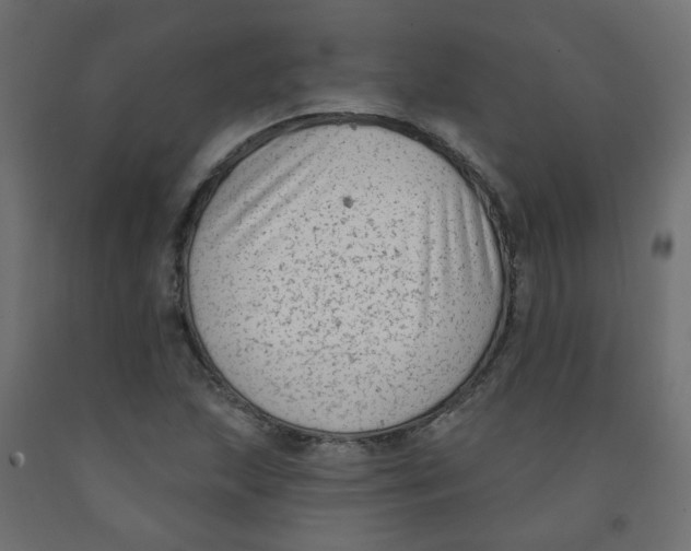 X0000091851215200710031634