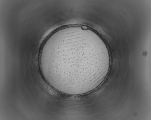 X0000091851216200710031634