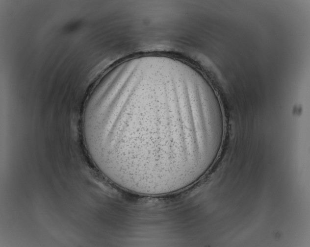 X0000091851217200710031634