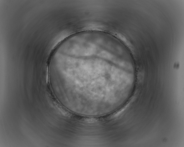 X0000091851219200710031634