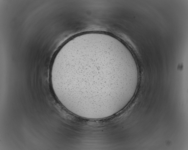 X0000091851220200710031634