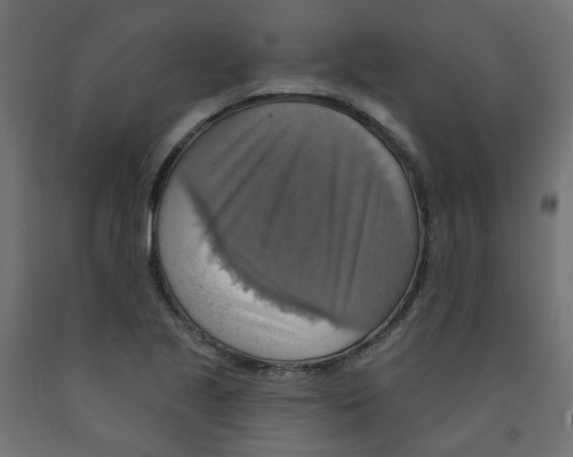X0000091851221200710031634