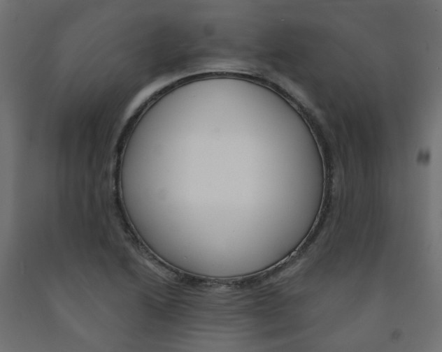 X0000091851222200710031634