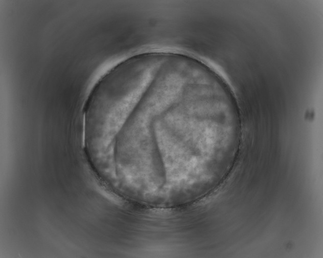 X0000091851223200710031634