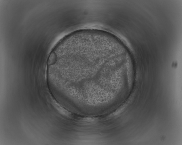 X0000091851224200710031634