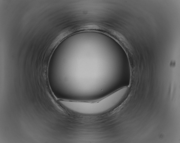 X0000091851225200710031634