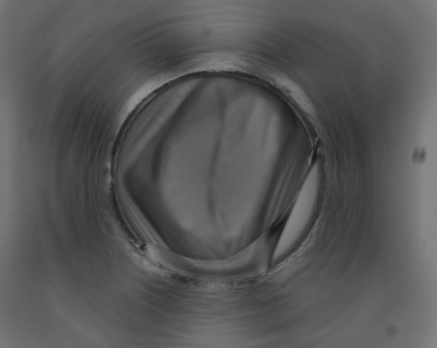 X0000091851226200710031634