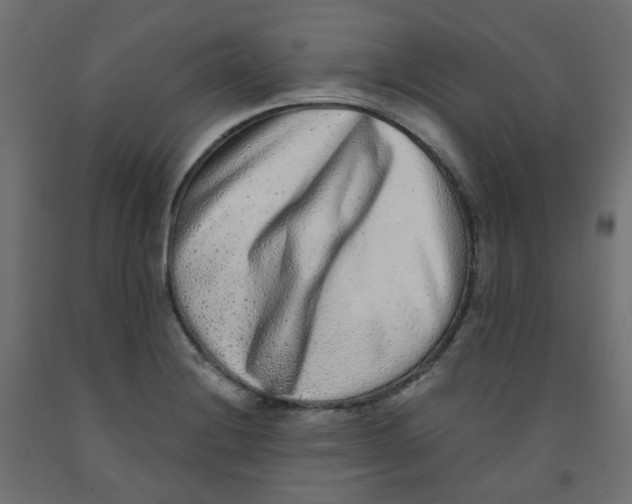 X0000091851228200710031634