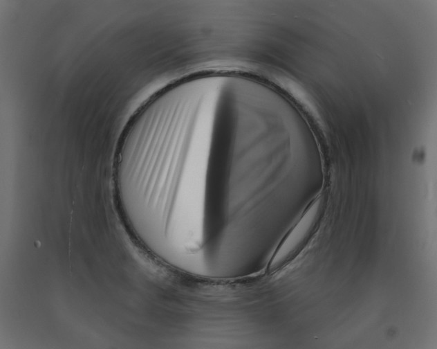 X0000091851229200710031634