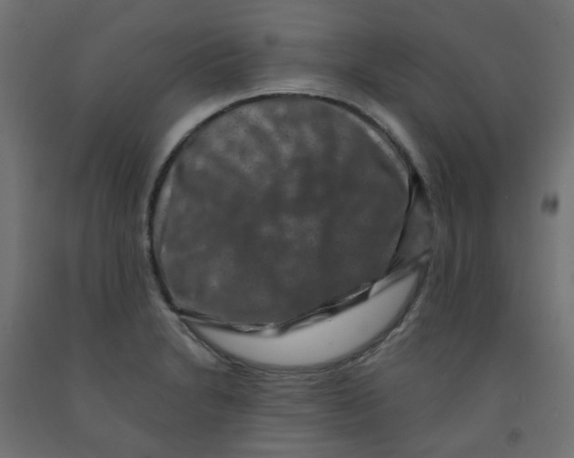 X0000091851230200710031634