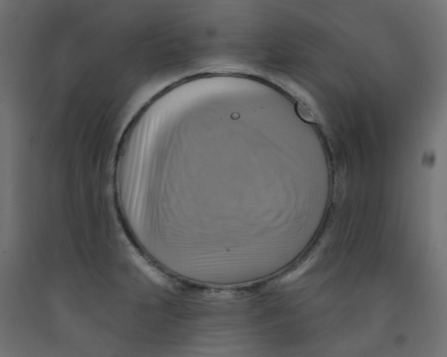 X0000091851231200710031634