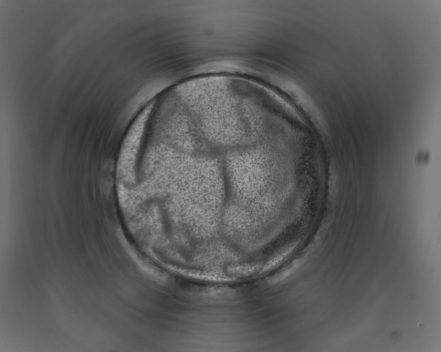 X0000091851233200710031634