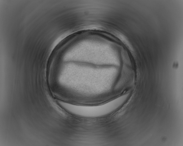 X0000091851234200710031634