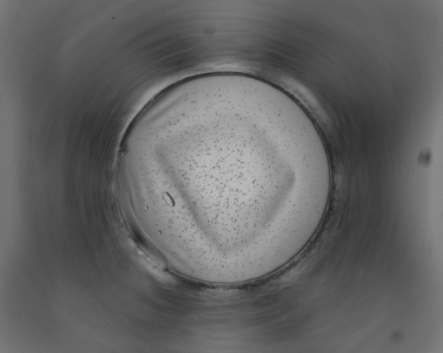 X0000091851236200710031634