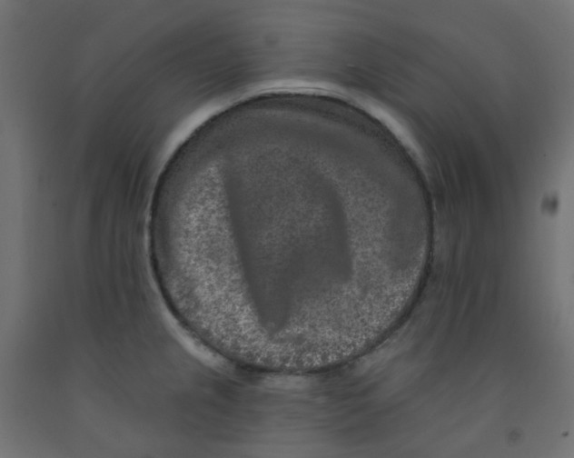 X0000091851237200710031634