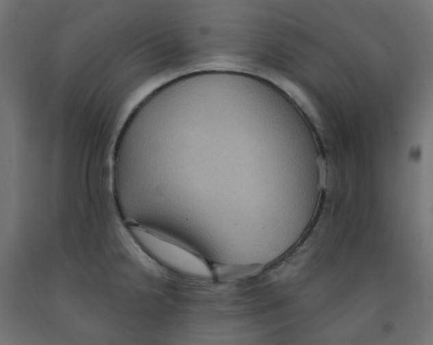 X0000091851238200710031634
