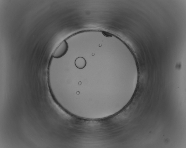 X0000091851239200710031634