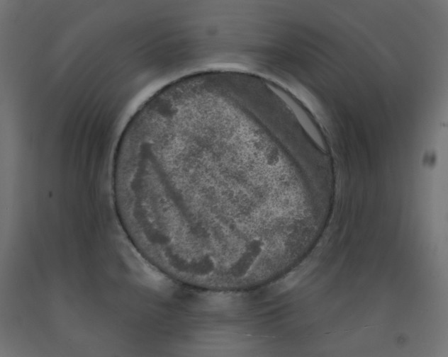 X0000091851240200710031634