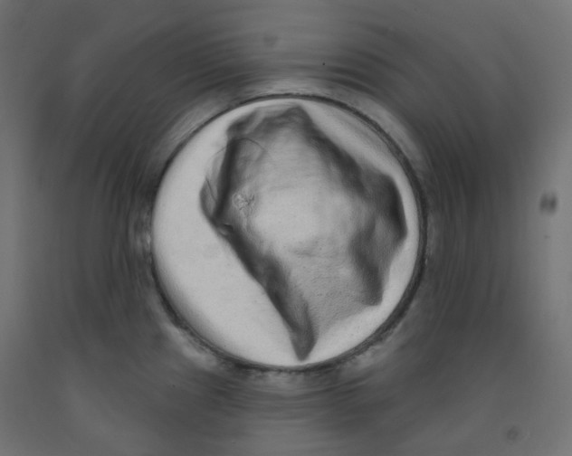 X0000091851241200710031634