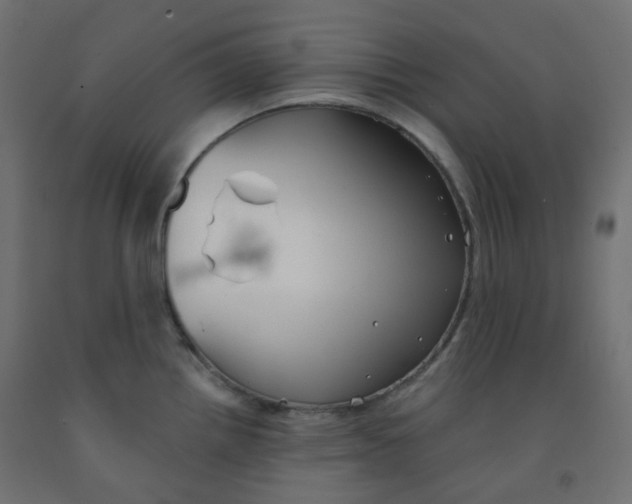 X0000091851242200710031634