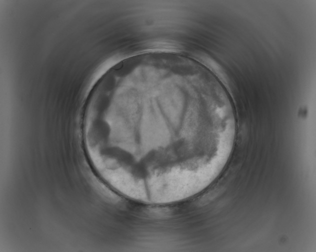 X0000091851243200710031634