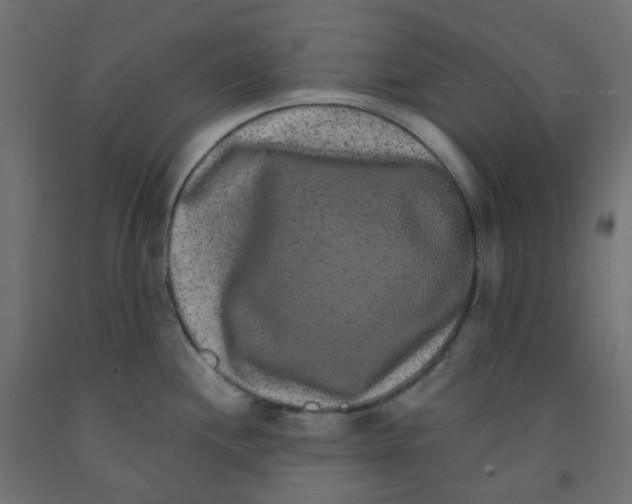X0000091851244200710031634