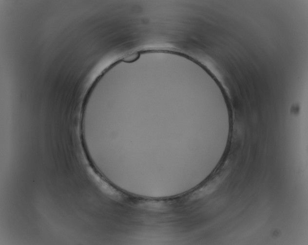 X0000091851245200710031634