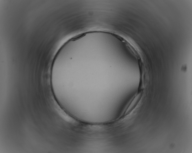 X0000091851246200710031634