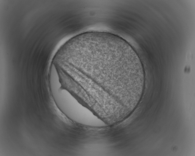 X0000091851248200710031634