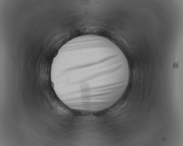 X0000091851250200710031634