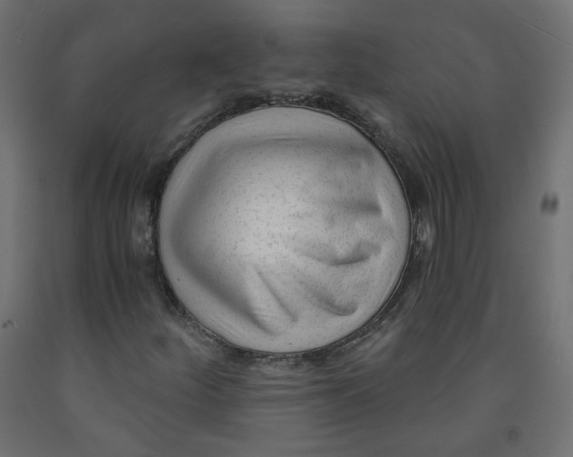 X0000091851252200710031634