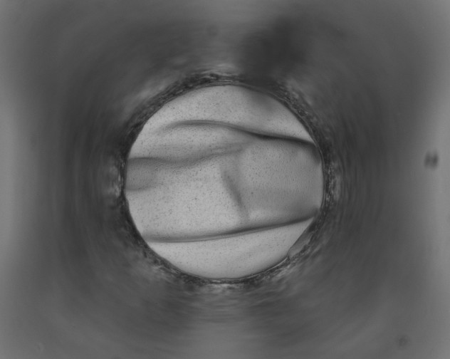 X0000091851253200710031634