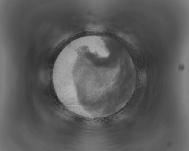 X0000091851254200710031634