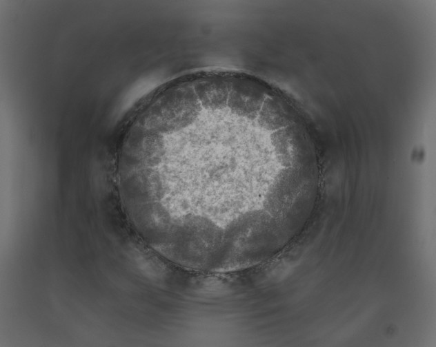 X0000091851255200710031634