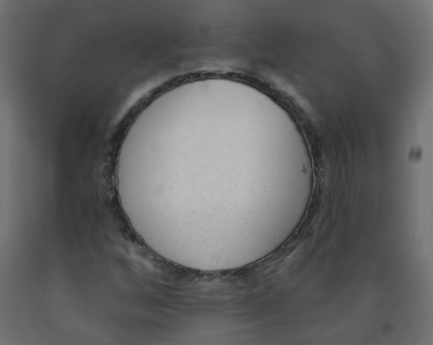 X0000091851256200710031634