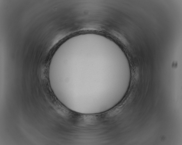 X0000091851258200710031634