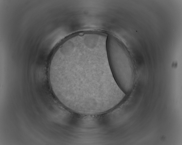 X0000091851259200710031634