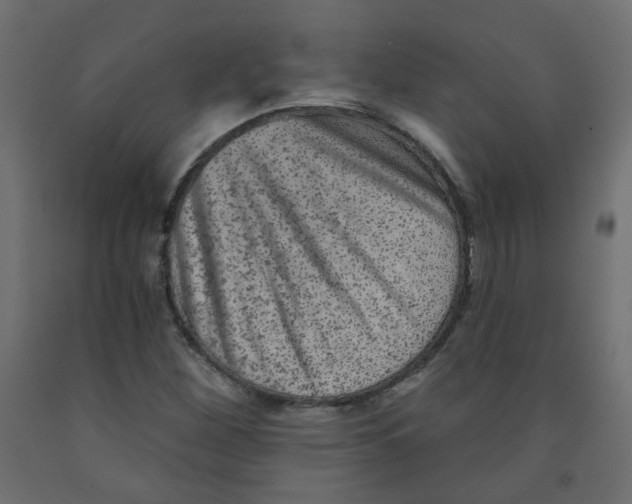 X0000091851260200710031634