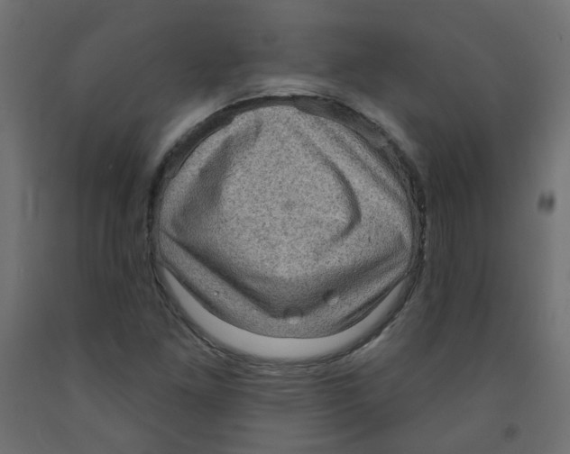 X0000091851261200710031634