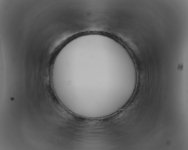 X0000091851262200710031633
